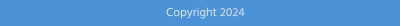 Copyright 2024